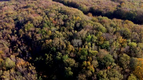 Imágenes-De-Drones-De-árboles-En-Colores-Otoñales-En-Inglaterra-Dolly-Forward