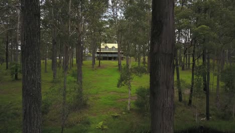 drone passando entre árvores na floresta ou parque de casa particular, colina de nambucca em nova gales do sul, austrália