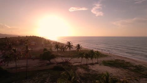 drone flying over coconut palm trees towards sunset in a caribbean sea beach in venezuela