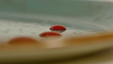 gotas rojas en un plato