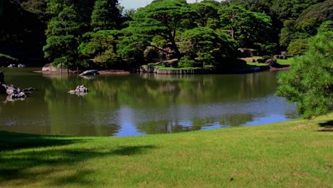 the beautiful view in rikugien gardens