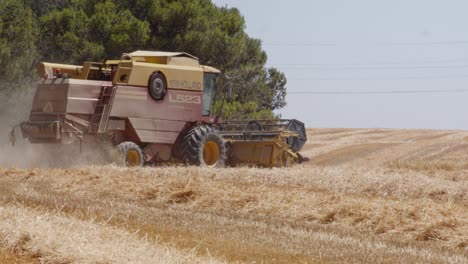 combinar la cosecha de campo de trigo en españa-9