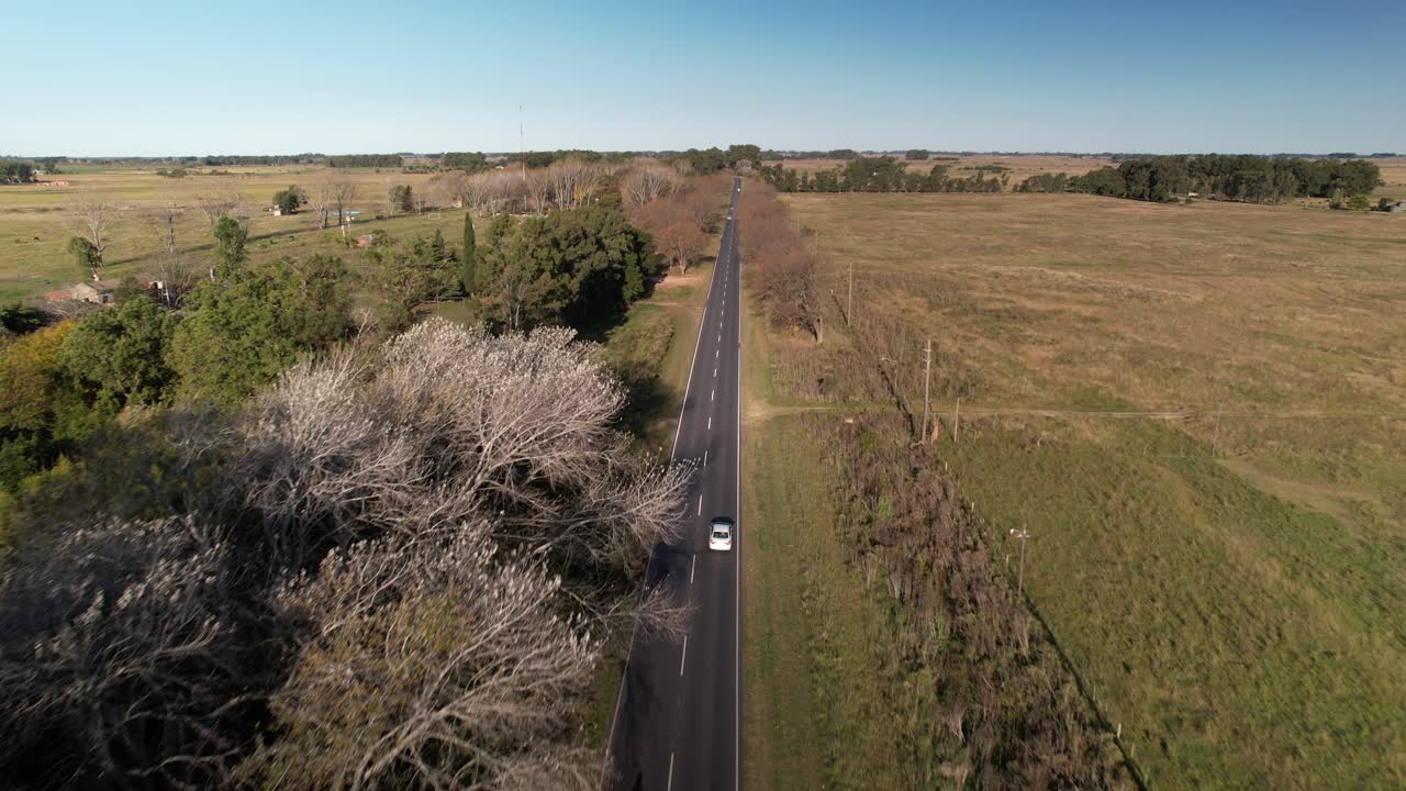 Aerial Tracking Shot of a Car Driving through a Long Straight Road, Argentina
