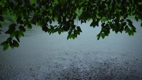 está lloviendo en el bosque.