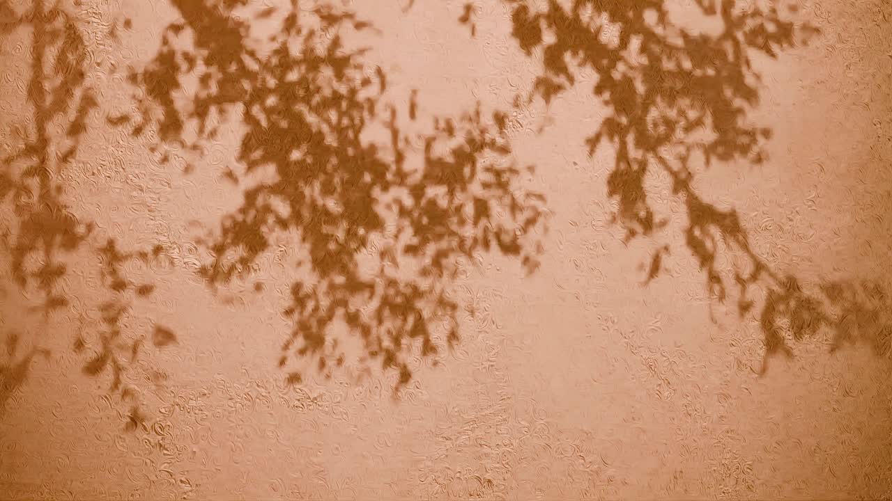 Tree branches shadow on textured orange wall. Nature silhouette concept