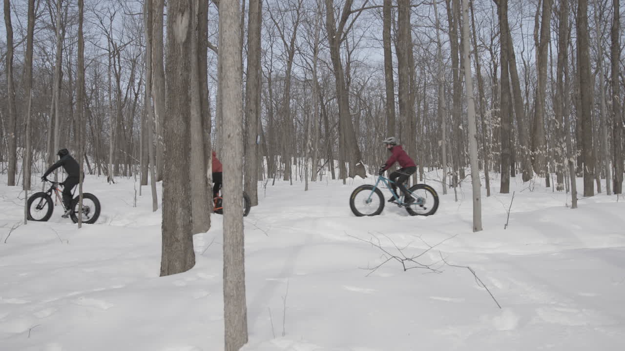 Line of cyclists pedalling through a forest in the winter on fatbikes