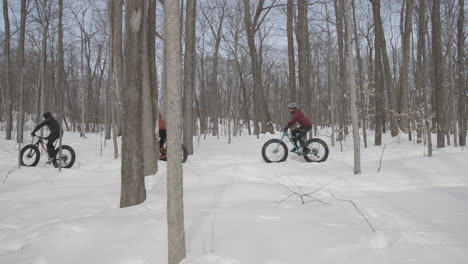 line of cyclists pedalling through a forest in the winter on fatbikes