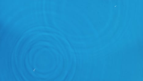 two drops of rain fall into blue water. top view. drop falls into water and diverging circles of water