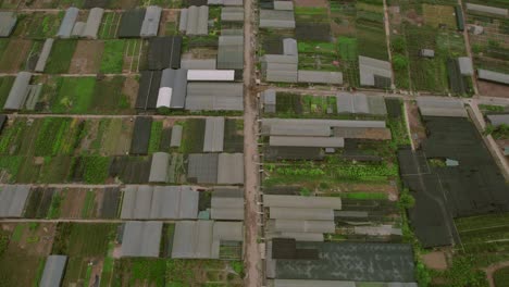 Aerial-of-Hanoi,-Vietnam,-revealing-elongated-rooftops-of-buildings-utilized-for-diverse-productions,-highlighting-the-concept-of-industrial-versatility-and-urban-functionality