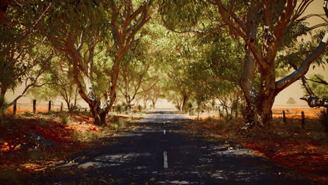 open-road-in-Australia-with-bush-trees