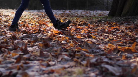 A-person-walking-through-a-frosty-leaf-covered-park-from-left-to-right,-only-showing-their-legs