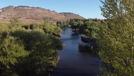 vuelo de drones sobre el río rodeado de árboles, calle con zona residencial visible, grabado en patagonia, argentina, sudamérica