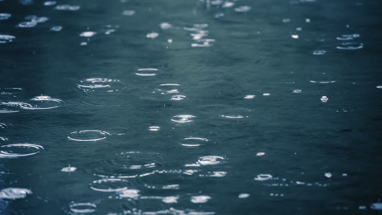 Rain drops on water surface