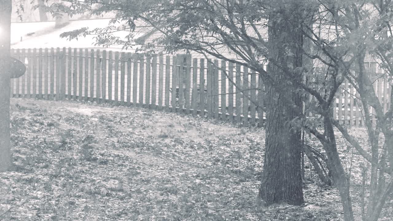 극도로 느려진 강설량