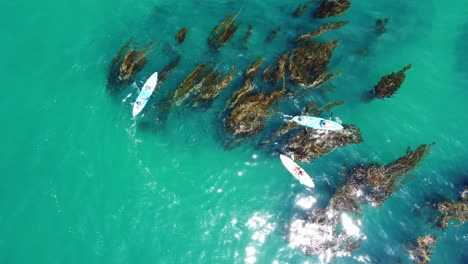 kayaking laguna beach, orange county. aerial zoom in