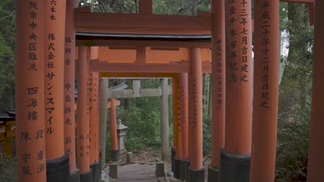 forward walking point of view through fushimi inari red torii gates, kyoto