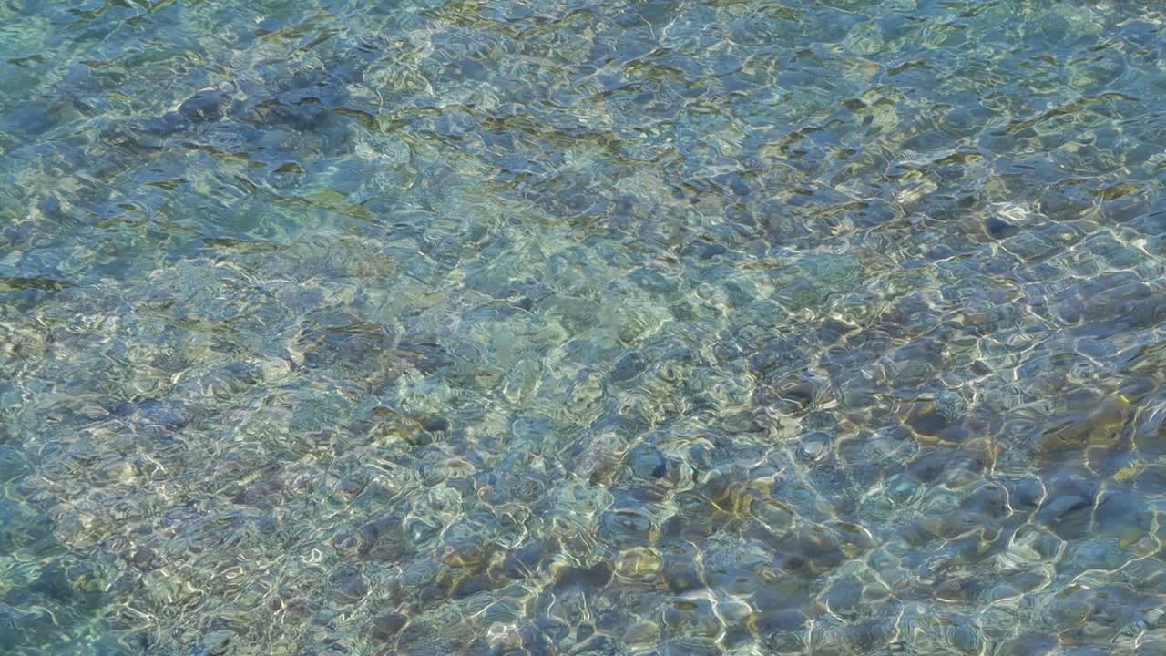 Água. Falésias costeiras ensolaradas com plantas verdes e água transparente