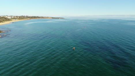 vuelo aéreo sobre kayakistas disfrutando del agua en sandringham, melbourne, australia