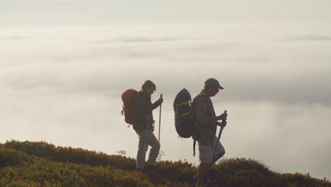 senior hikers walking with trekking poles, then raising their hands up and rejoicing