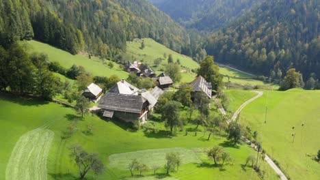 volar sobre pintorescos chalets de montaña. naturaleza verde de los alpes