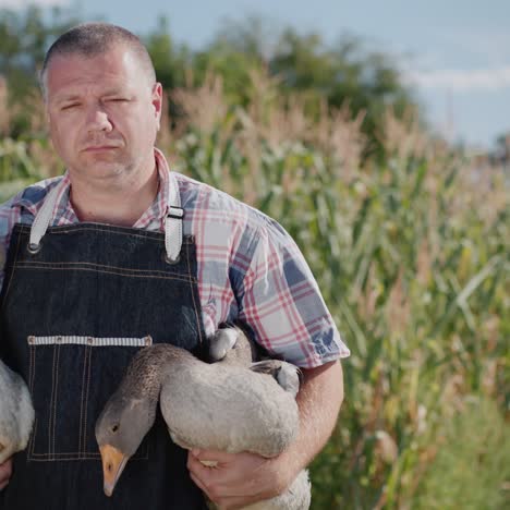 a farmer holds two large geese