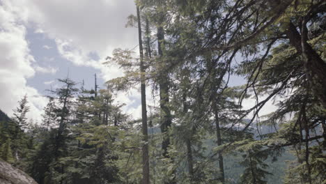 Group-of-hikers-walking-down-the-trail-in-Canadian-wilderness