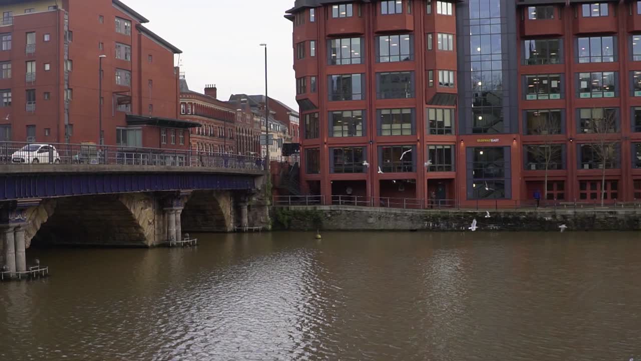 Flying birds in the river Yeo in Bristol city, Somerset, United Kingdom.