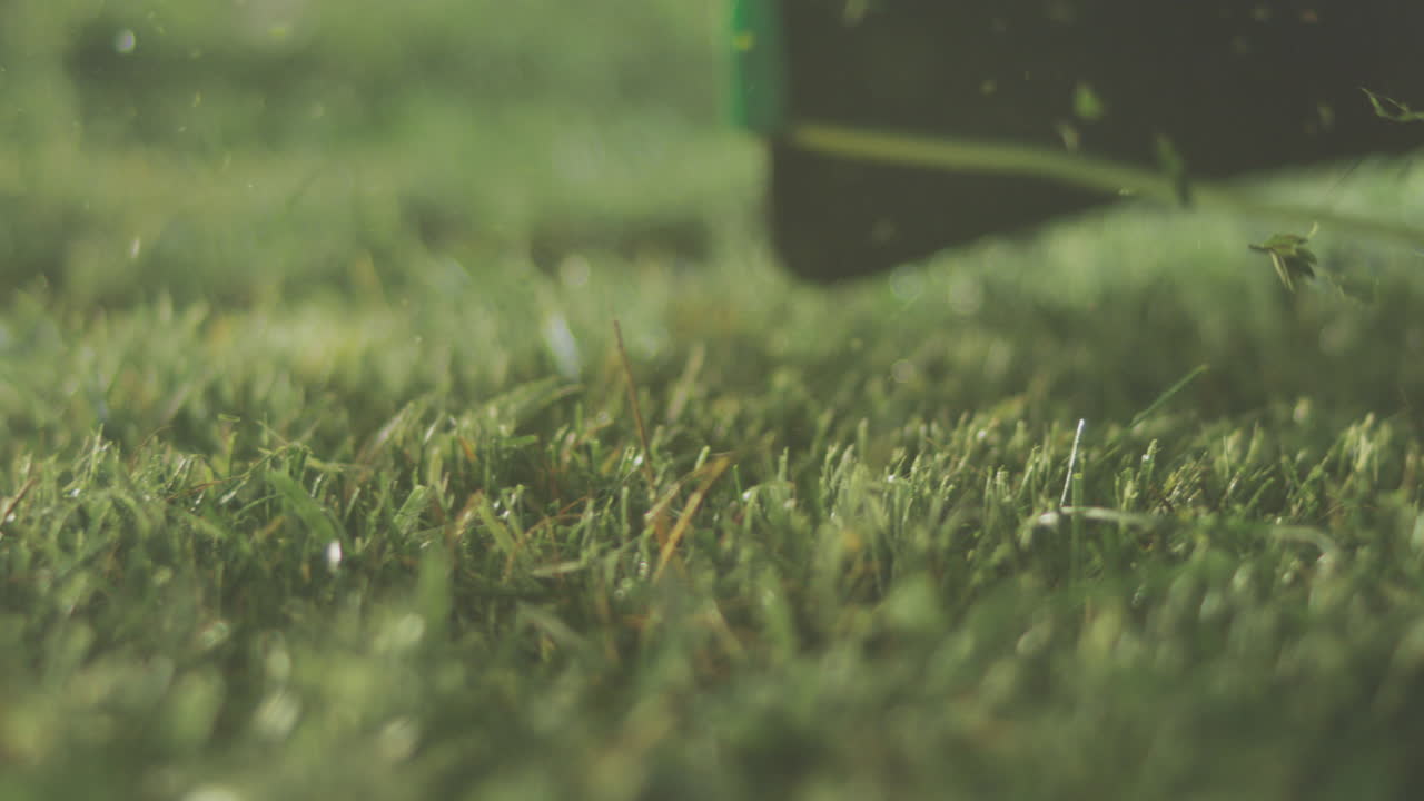 잔디를 는 잔디 기기의 클로즈업