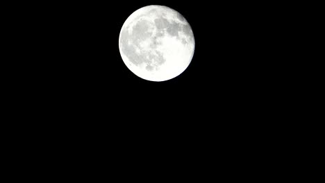 A-telescopic-and-stationary-view-of-the-full-moon-on-dark-sky