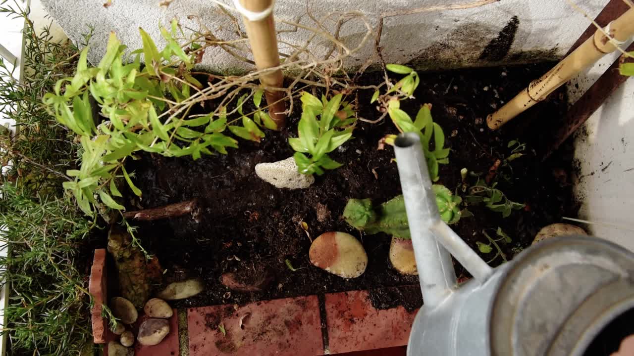 Anonymous female gardener watering plants at home