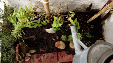 jardinera anónima regando las plantas en casa