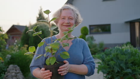 An-elderly-woman-holds-a-home-grown-plant-in-his-hands---a-nature-preservation-concept