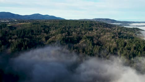 Sobrevuelo-Aéreo-Hermoso-Paisaje-De-Bosque-Natural-Con-Nubes-Bajas-Y-Pintorescas-Colinas-Montañosas-Como-Telón-De-Fondo