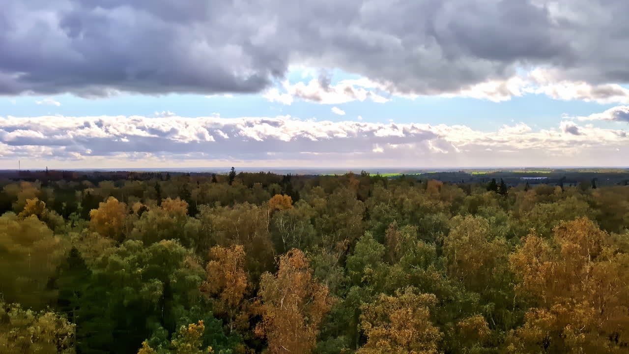Picturesque view of dense forest with cumulus clouds in sky and a beautiful horizon in Talsi, Latvia