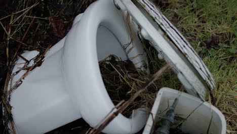 baño blanco abandonado con plantas que crecen a pesar de ello