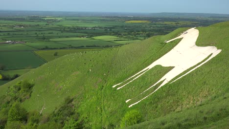 Un-Caballo-Blanco-Gigante-Es-Un-Hito-En-Westbury-Inglaterra-1