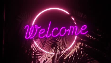 Animation-of-welcome-text-and-ring-in-pink-neon,-with-palm-leaves-on-black-background