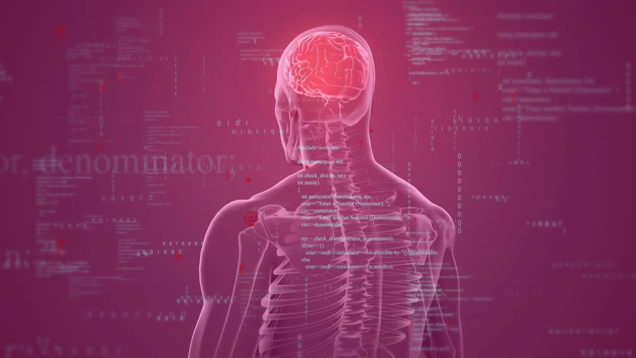 esqueleto humano y cerebro con animación de procesamiento de datos sobre fondo rojo