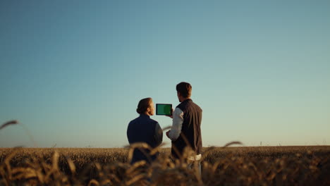 agriculture workers holding pad computer inspecting cultivated wheat harvest.