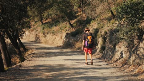 hombre caminando por un sendero forestal