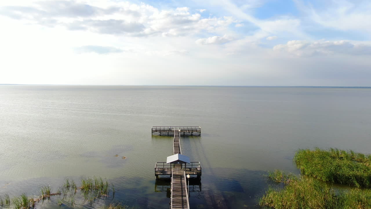 volando sobre un muelle junto al lago, aterrizando en un parque en el lago apopka, florida