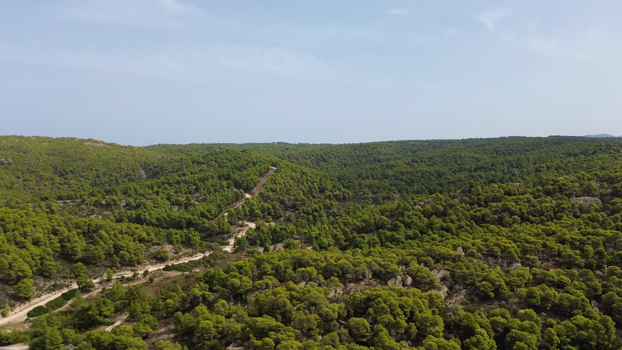 Foresta in Grecia vicino a Kalogria e Nikiti, in Calcidica.