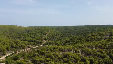bosque en grecia cerca de kalogria y nikiti en halkidiki