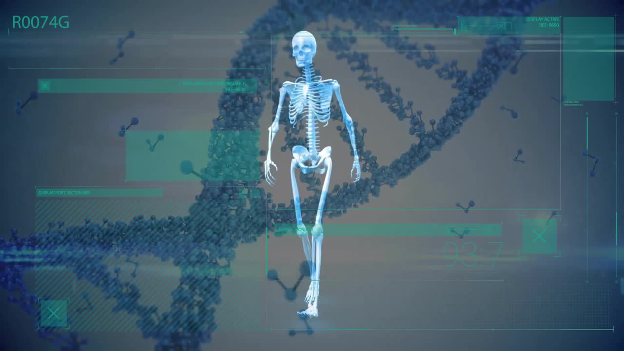 인간 골격과 dna 줄에 대한 과학적 데이터 처리의 애니메이션