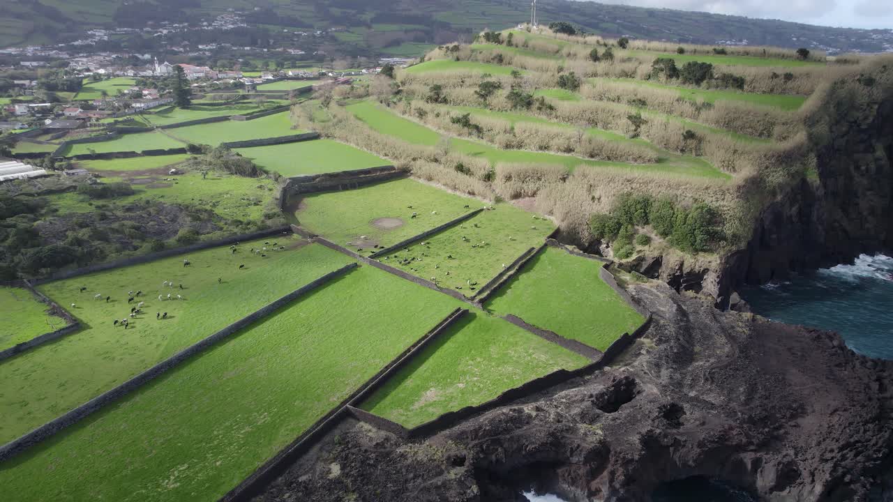 사우 미구엘 섬 의 험난 한 해안선 에 있는 경치 좋은 목초지