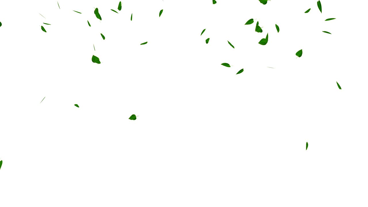 녹색 잎 폭발은 색에 분리되어 있으며, 매트, 루프가 있습니다.