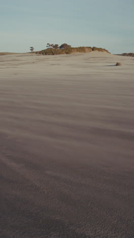 windswept sand dunes beach landscape