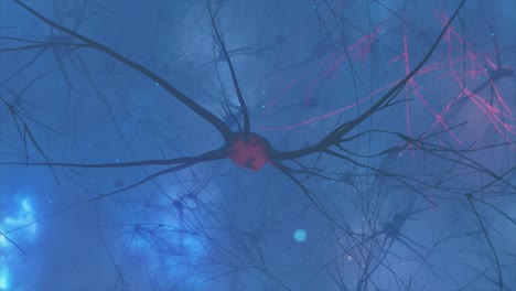 neurons in the brain