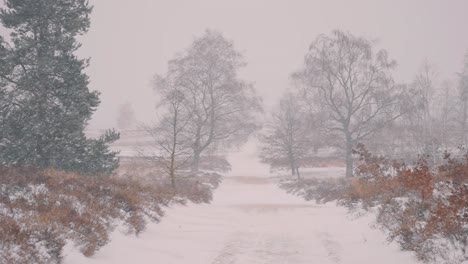 Scenic-View-of-Snowstorm-in-Winter,-Snow-Covered-Road-Ahead,-Slow-Motion