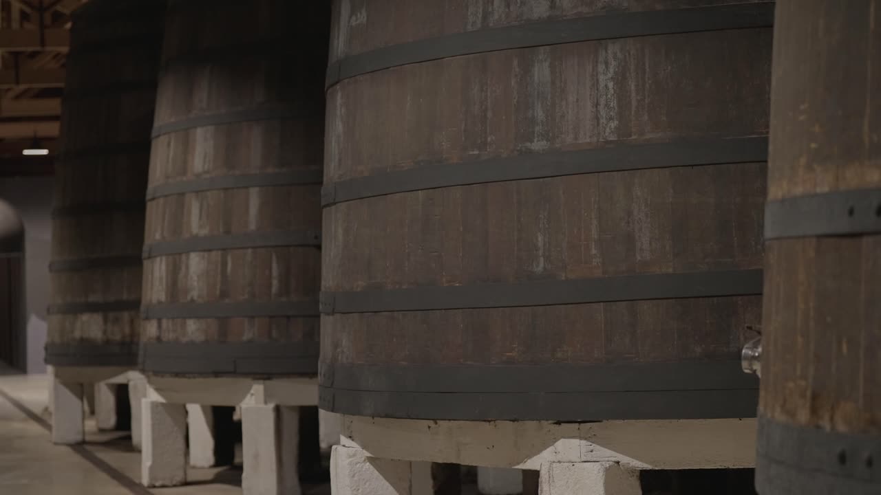 File di grandi botti di legno allineate all'interno del corridoio della cantina in pietra